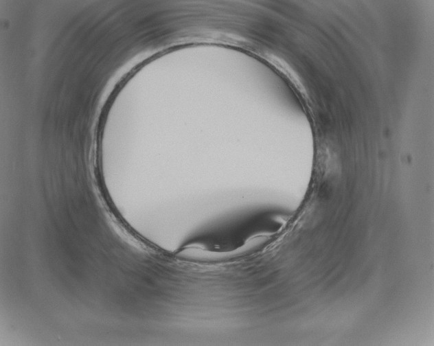 X0000080111136200701051323