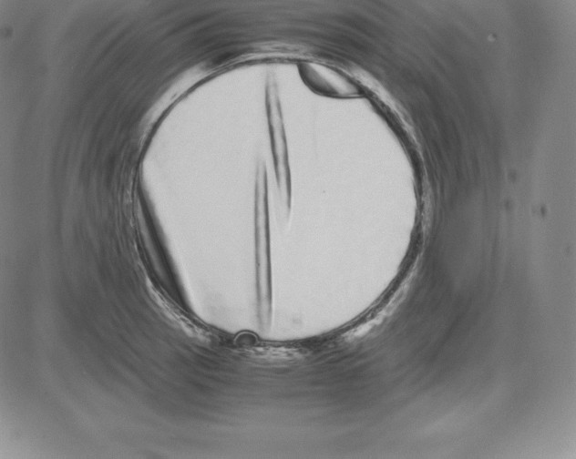 X0000080111137200701051323