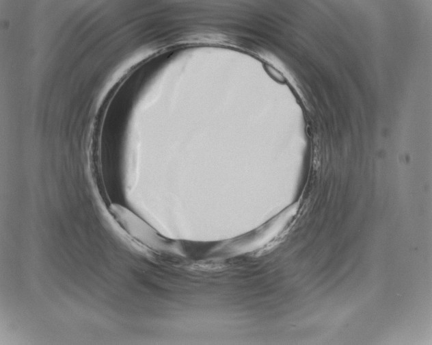 X0000080111139200701051323