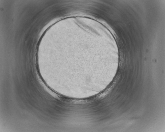 X0000080111142200701051323