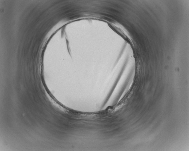 X0000080111143200701051323