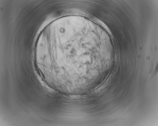 X0000080111144200701051323