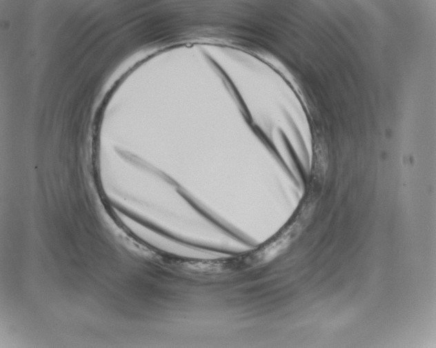 X0000080111147200701051323