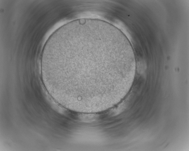 X0000080111150200701051323