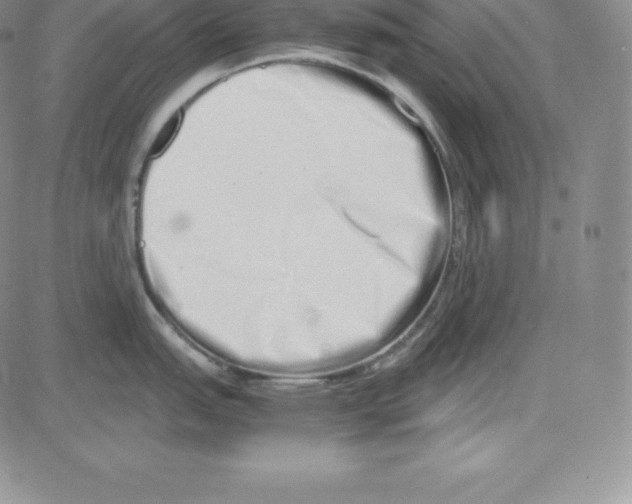 X0000080111151200701051323