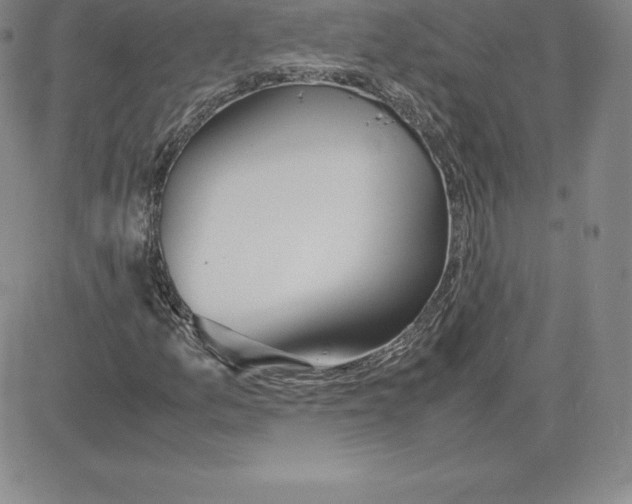 X0000080111157200701051322