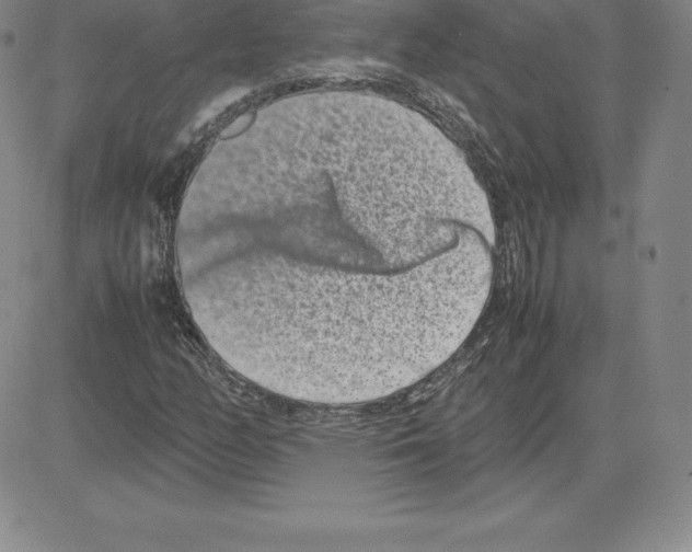 X0000080111158200701051322