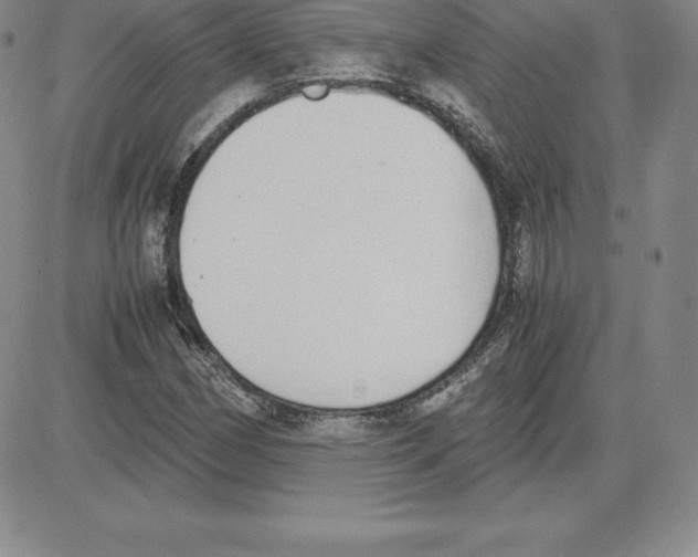 X0000080111162200701051322