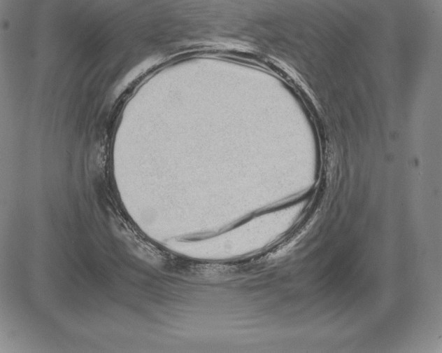 X0000080111163200701051322