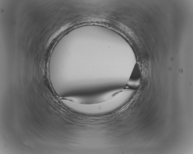 X0000080111165200701051322