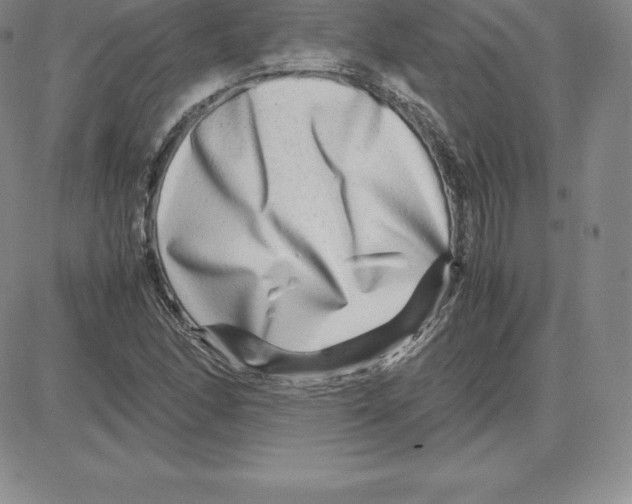 X0000080111166200701051322