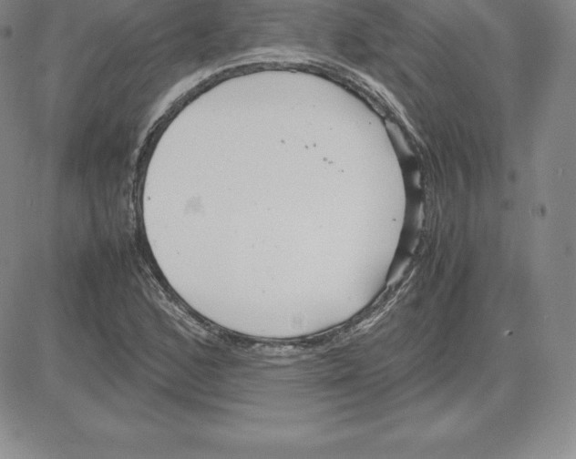 X0000080111168200701051322