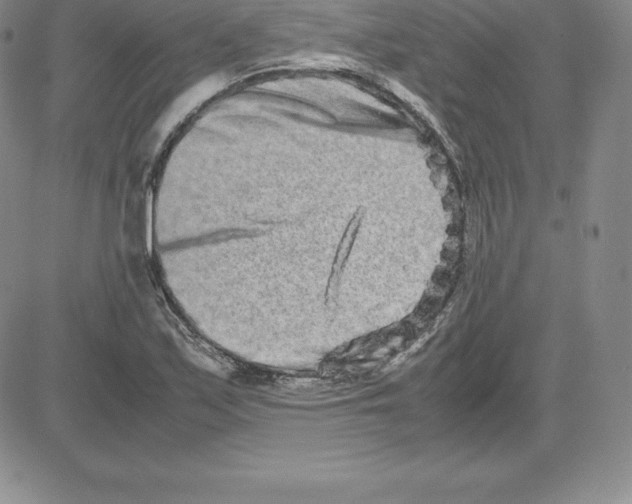 X0000080111171200701051322