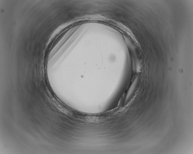 X0000080111176200701051322