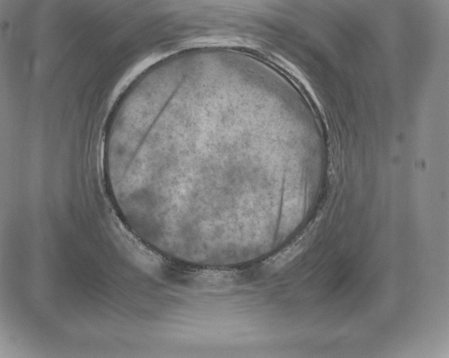 X0000080111179200701051322