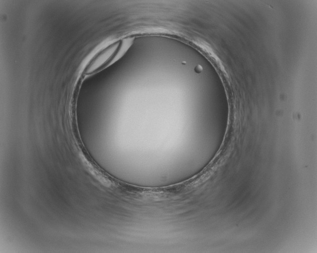 X0000080111181200701051322