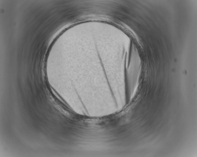 X0000080111182200701051322