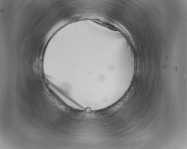 X0000080111190200701051322