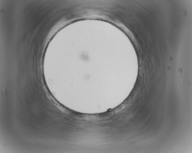 X0000080111191200701051322