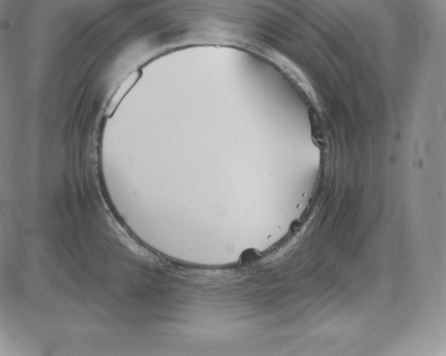 X0000080111192200701051322