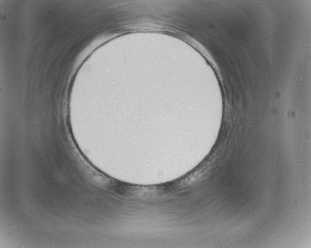 X0000080111195200701051322