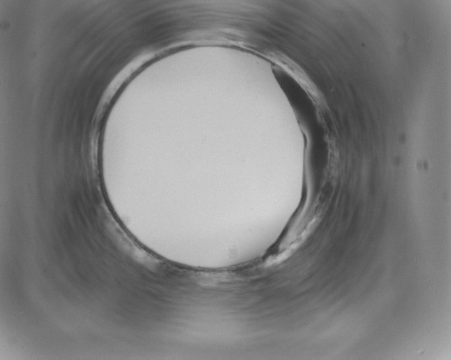 X0000080111196200701051322