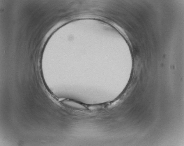 X0000080111197200701051322