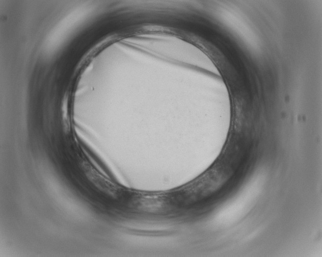 X0000080111198200701051322