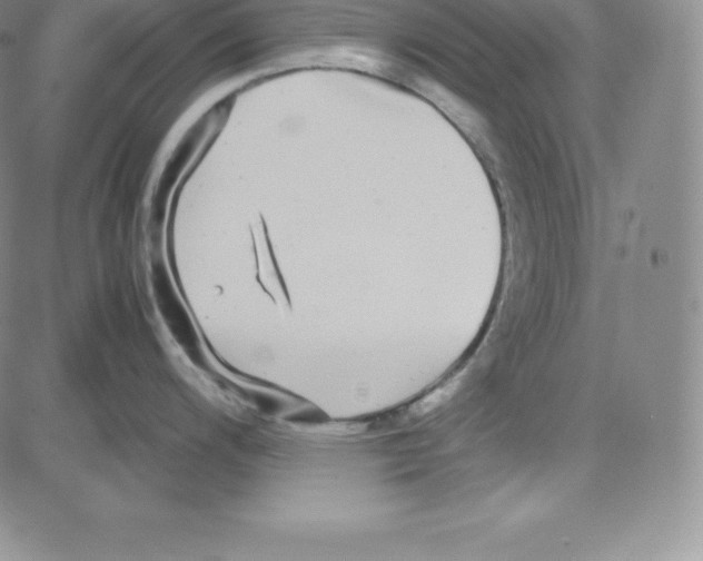 X0000080111200200701051322