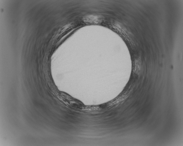 X0000080111201200701051321