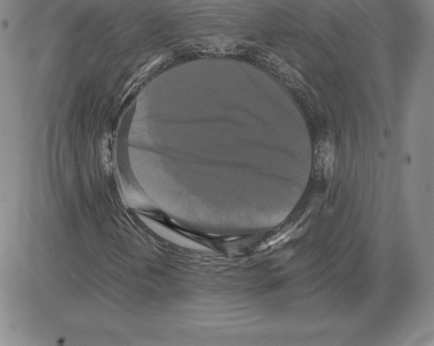 X0000080111202200701051321