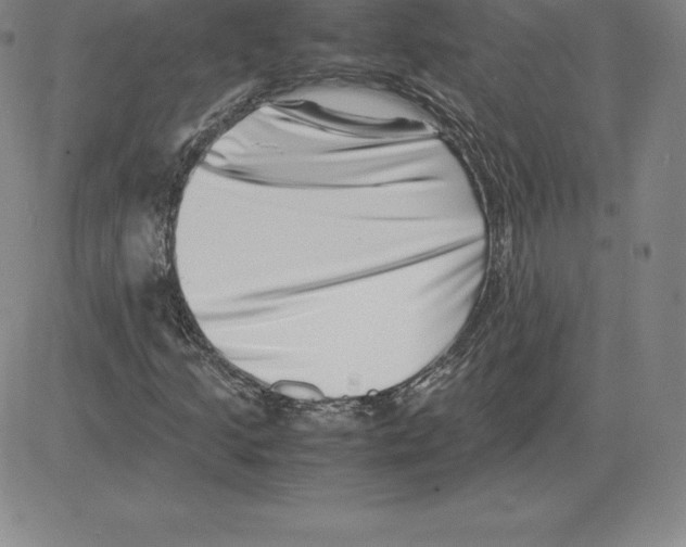 X0000080111205200701051321