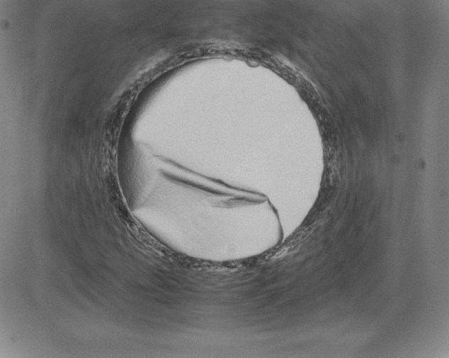 X0000080111207200701051321