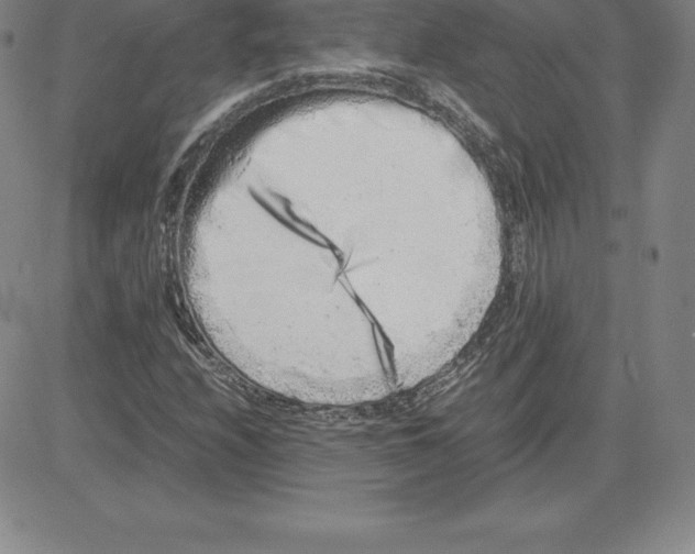 X0000080111208200701051321