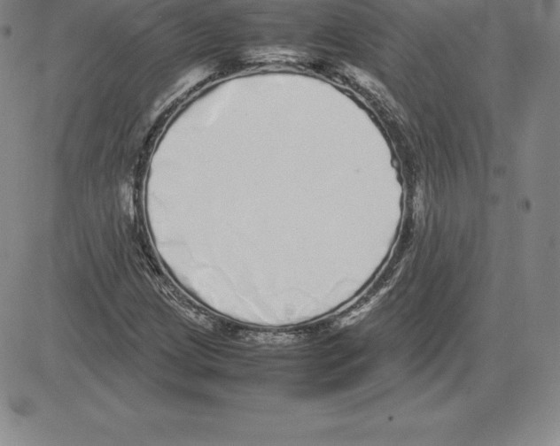 X0000080111209200701051321