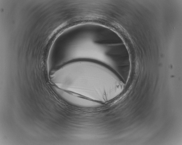 X0000080111210200701051321