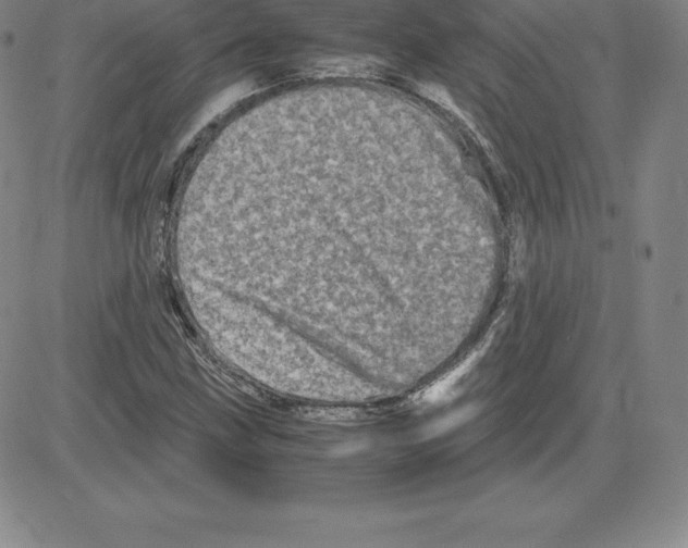 X0000080111211200701051321