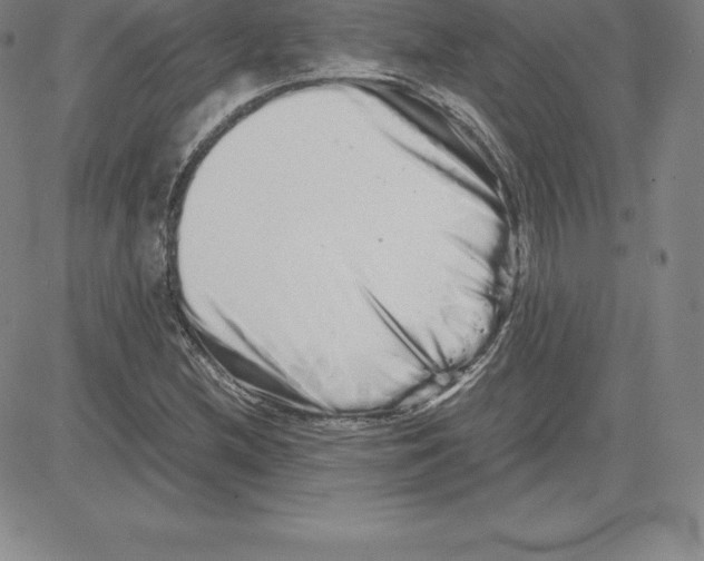 X0000080111212200701051321