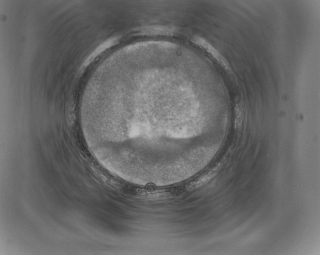 X0000080111213200701051321