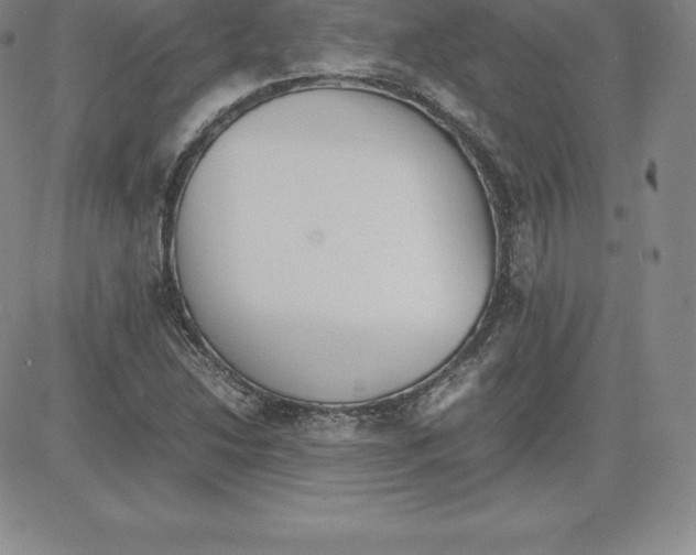 X0000080111214200701051321