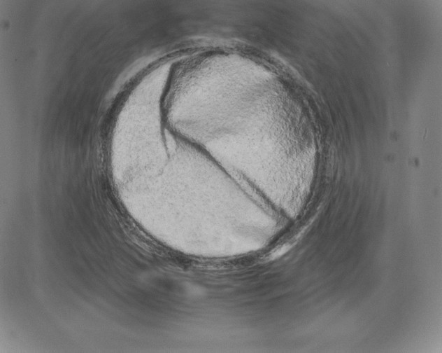 X0000080111215200701051321