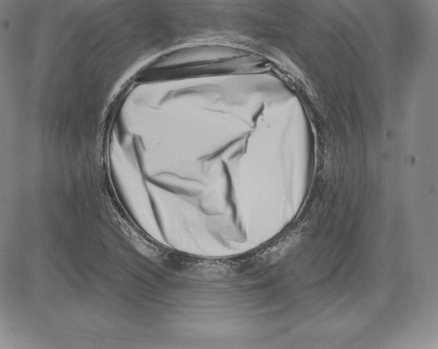 X0000080111216200701051321