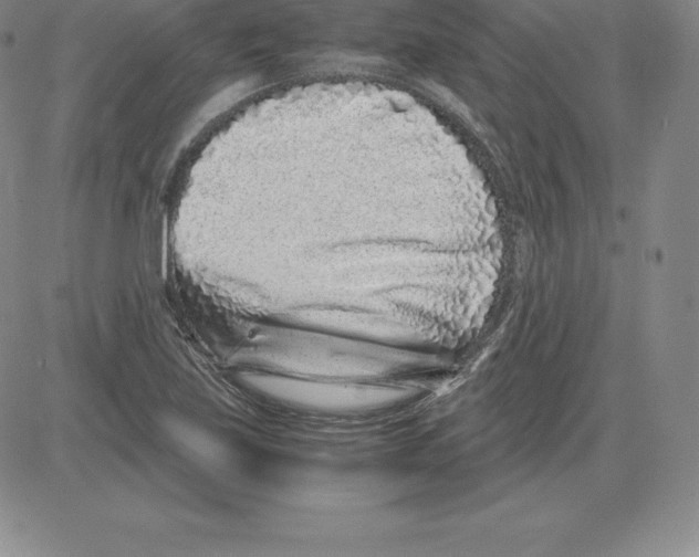 X0000080111219200701051321