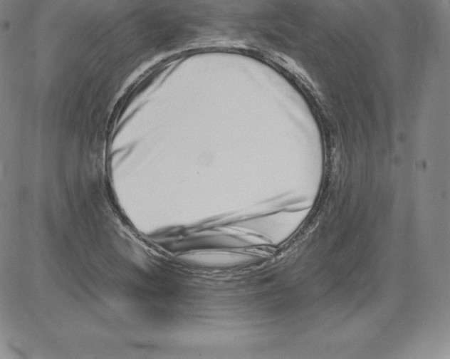 X0000080111220200701051321