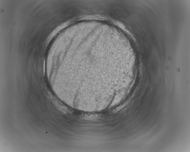 X0000080111221200701051321