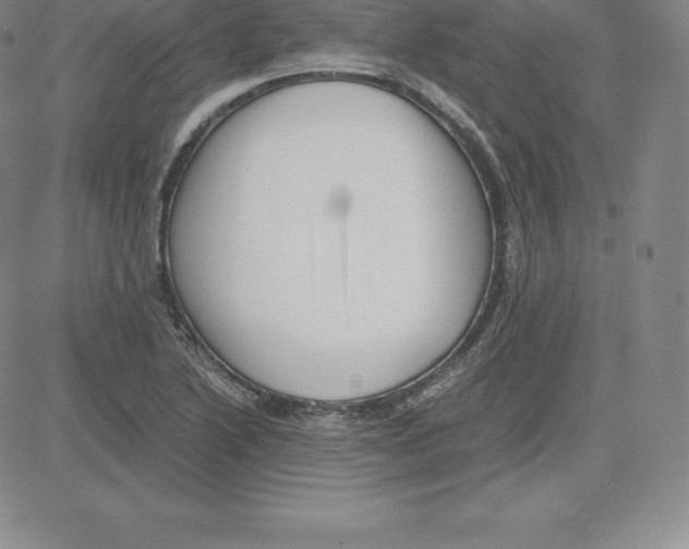 X0000080111222200701051321