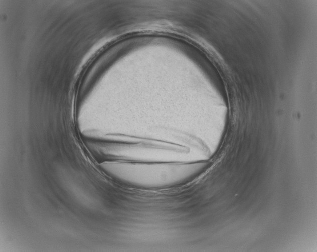 X0000080111224200701051321