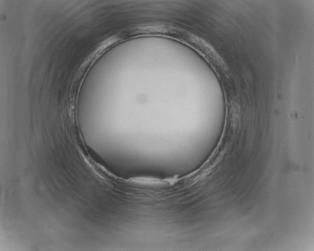 X0000080111225200701051321