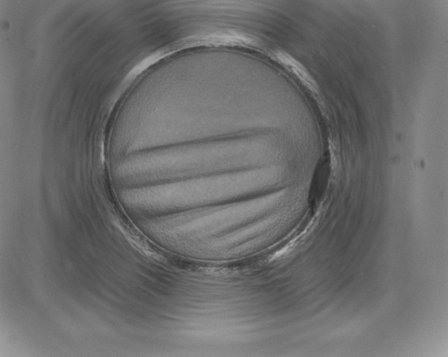 X0000080111226200701051321