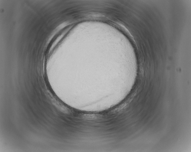 X0000080111227200701051321